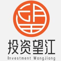 投资望江