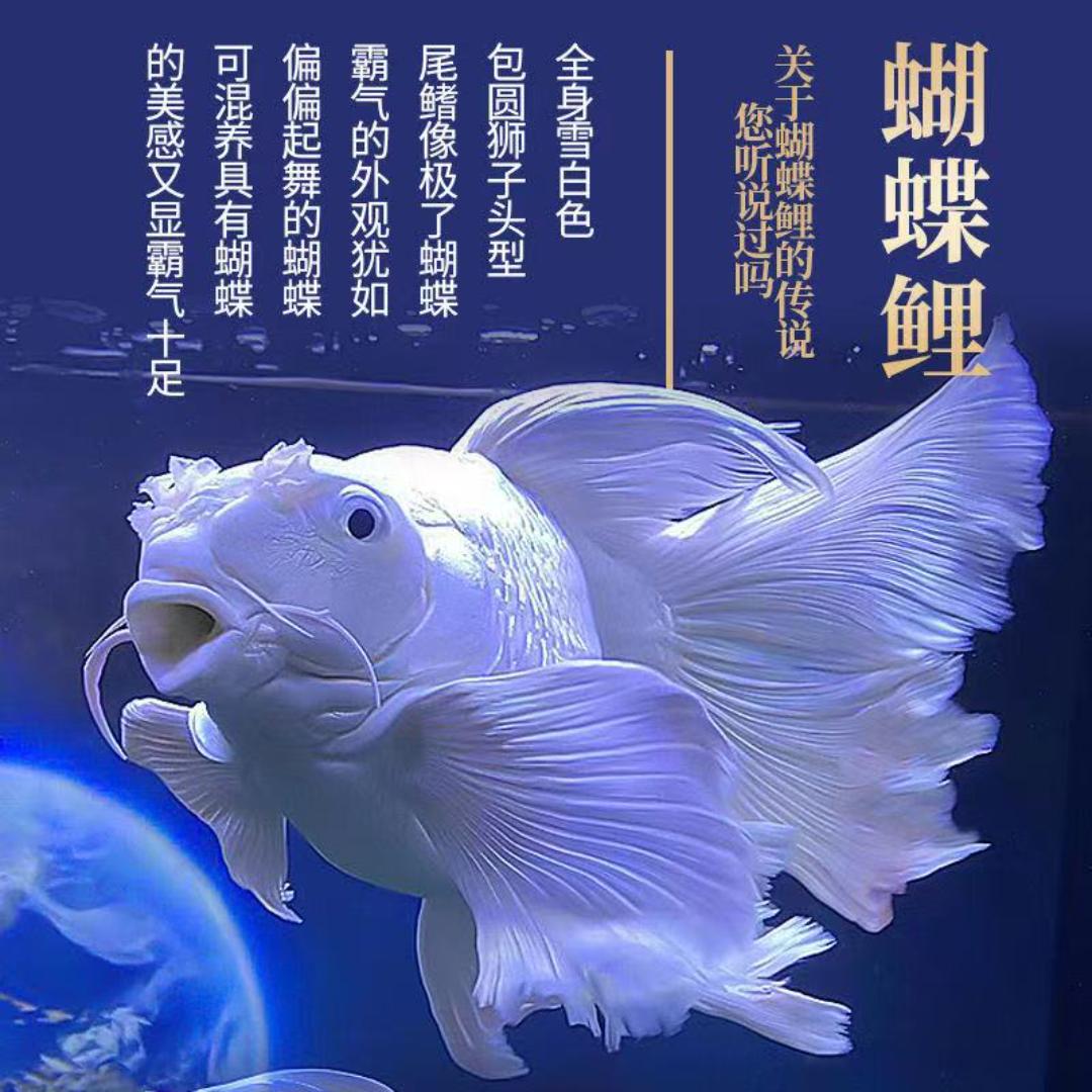 聚福鱼坊