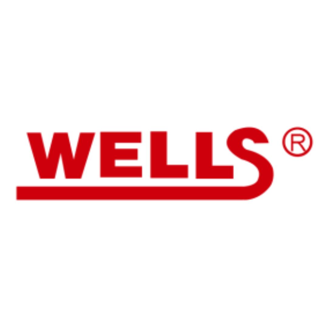 Wells传播