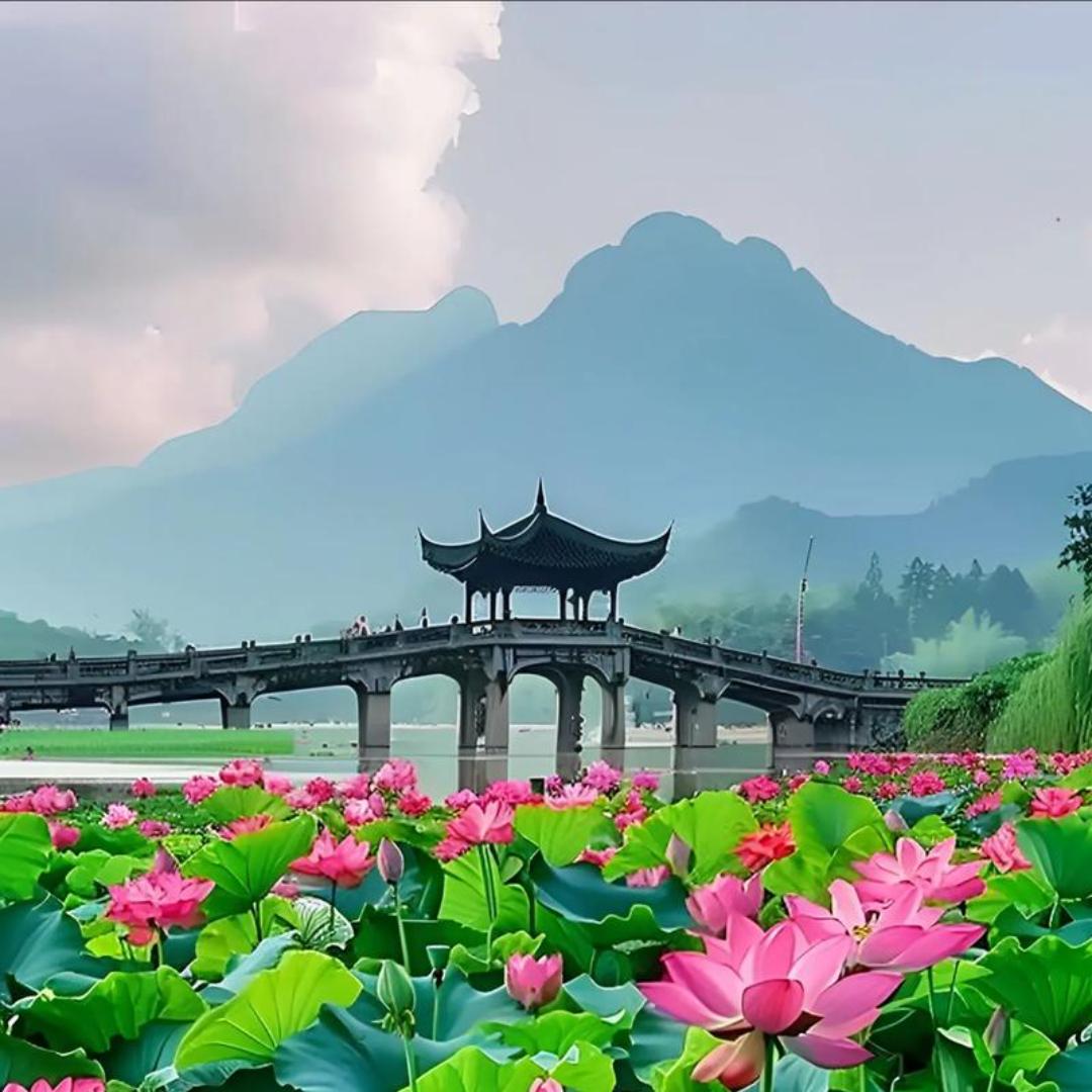 沾润乎（好物精选）