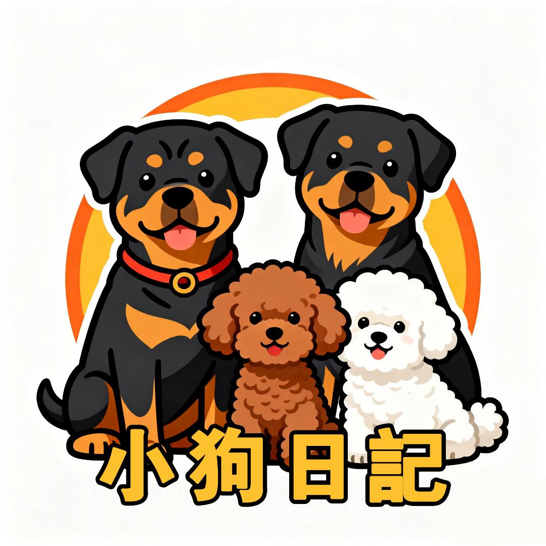 泡芙的宠物零食