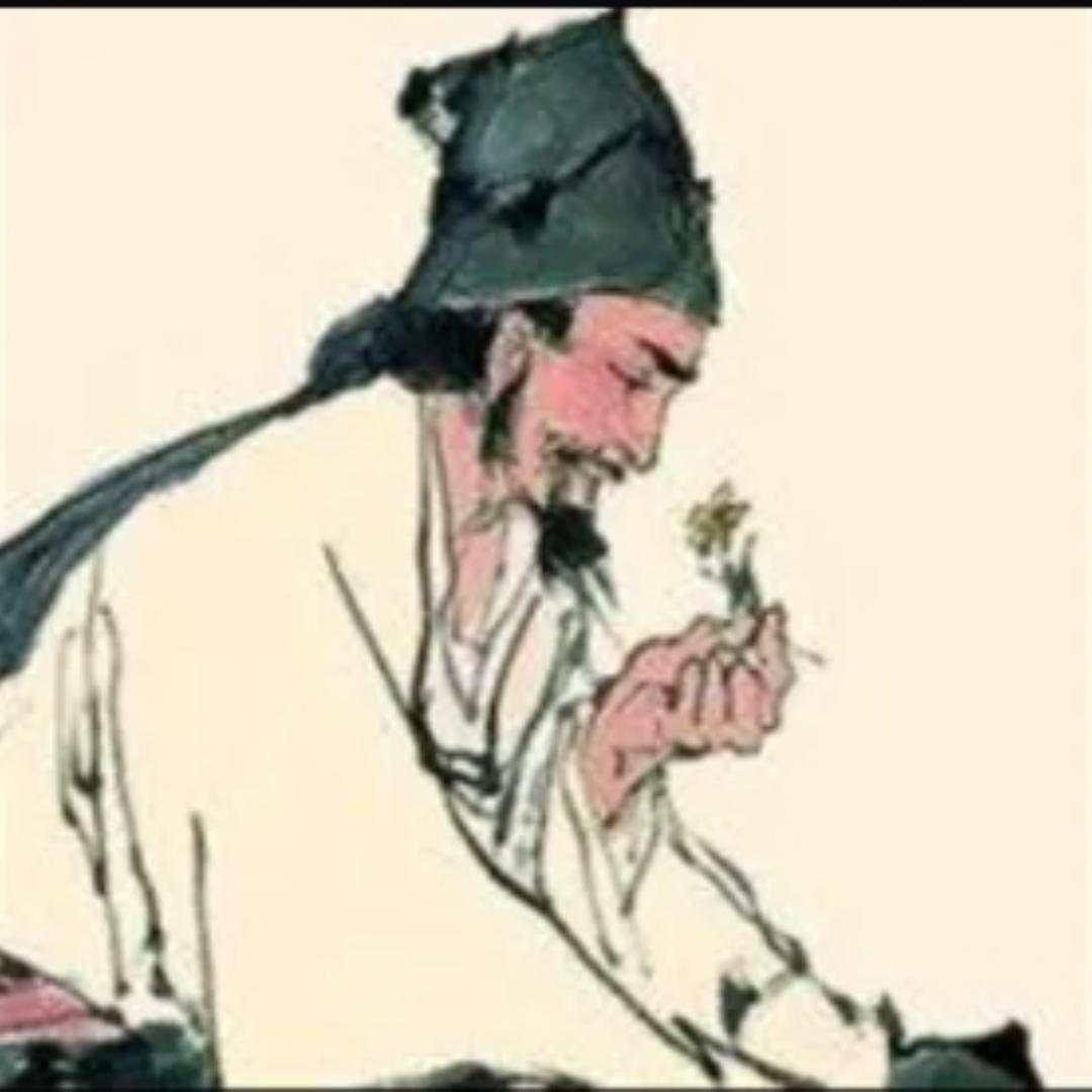 九珍源