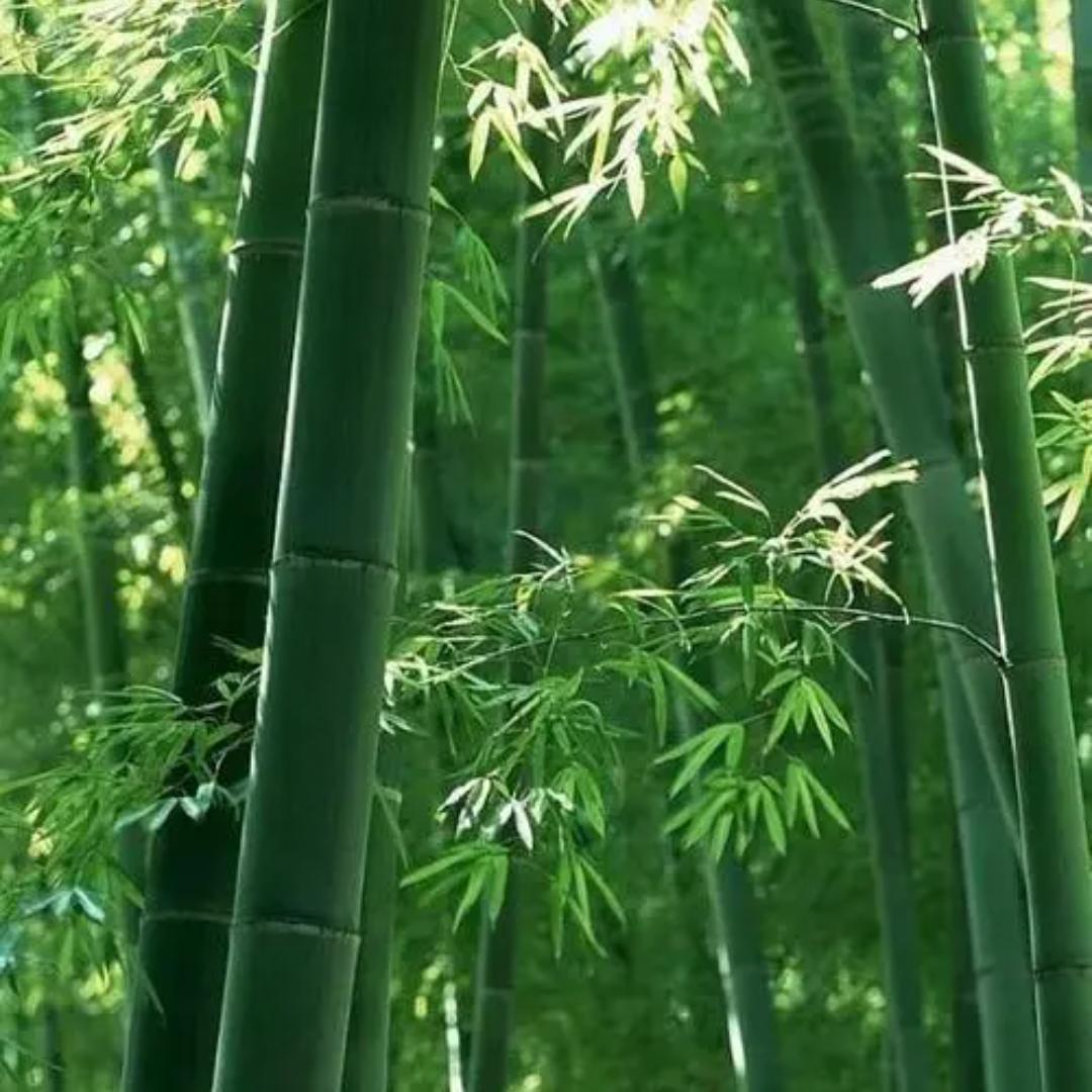 02年讲文化经典