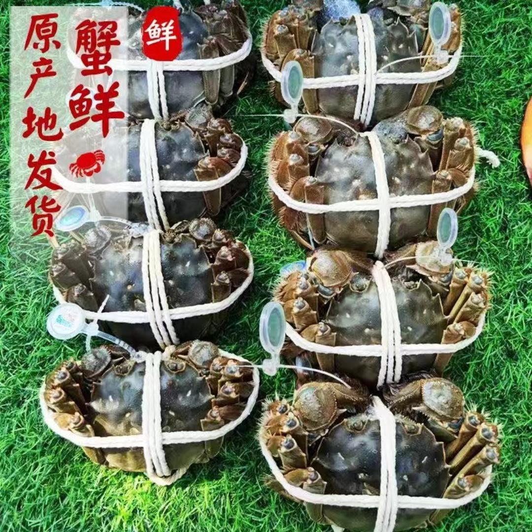 螃蟹发全国