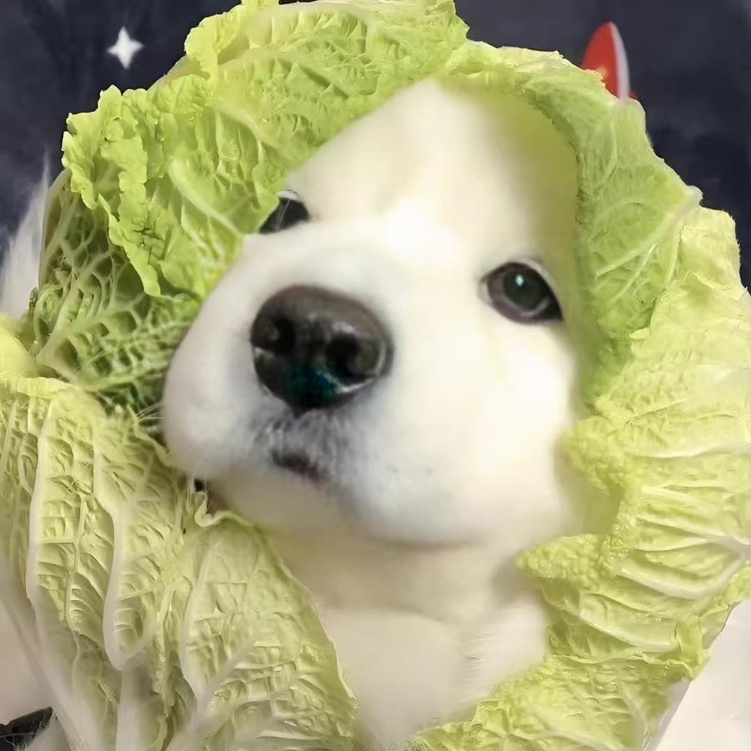 大番茄🍅🍅🍅