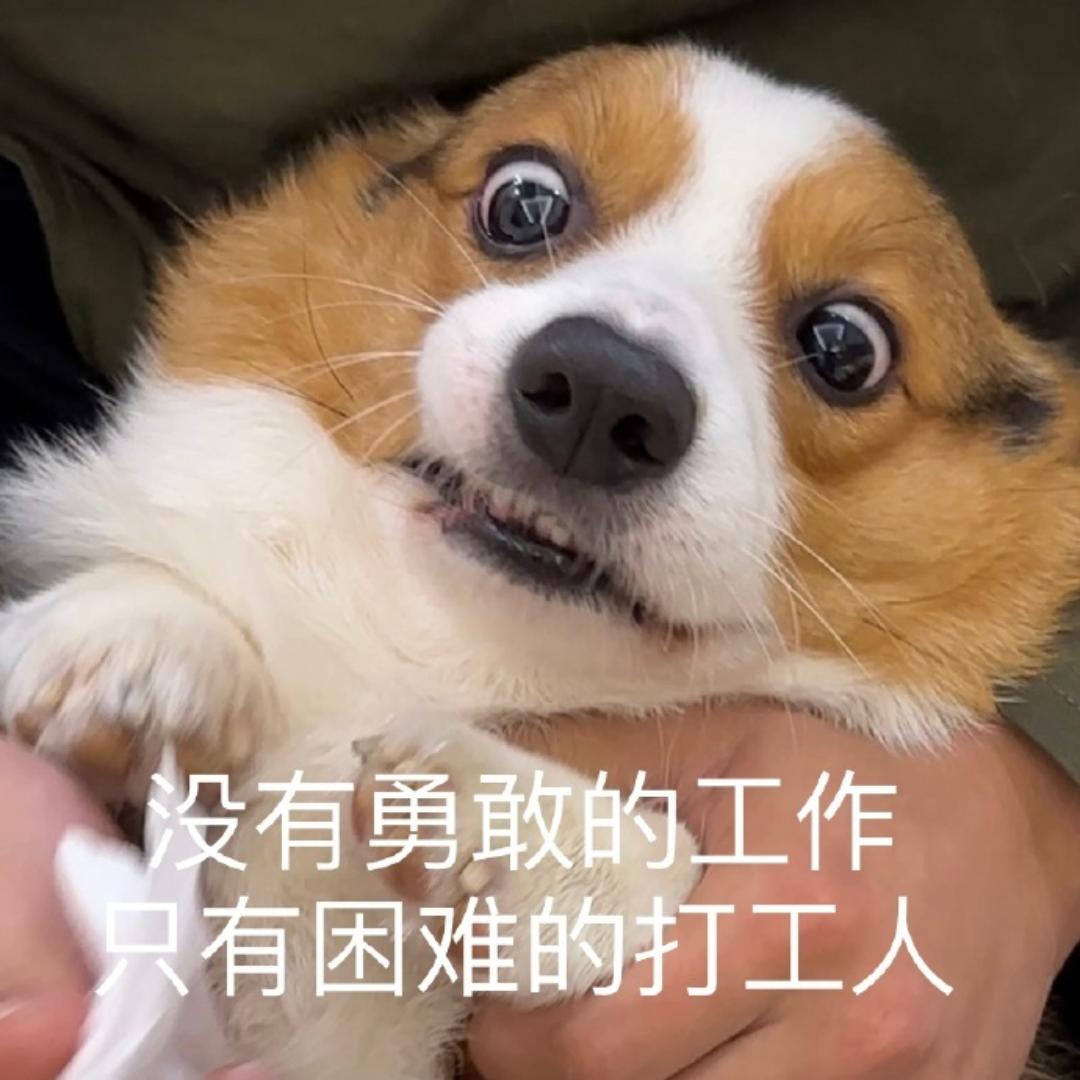 xxxxxxvhhhh