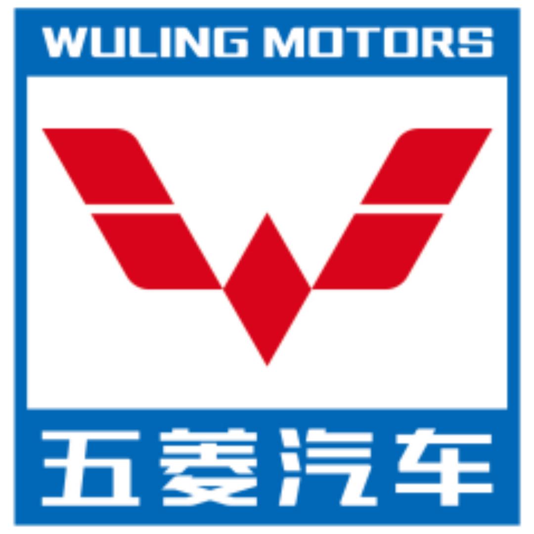 WuLing专用车