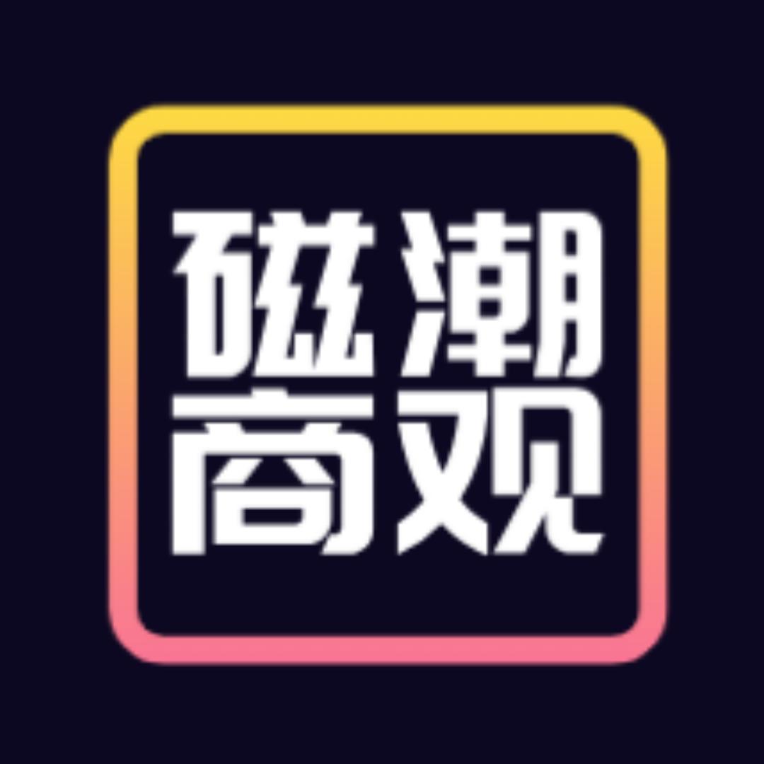 磁潮商观