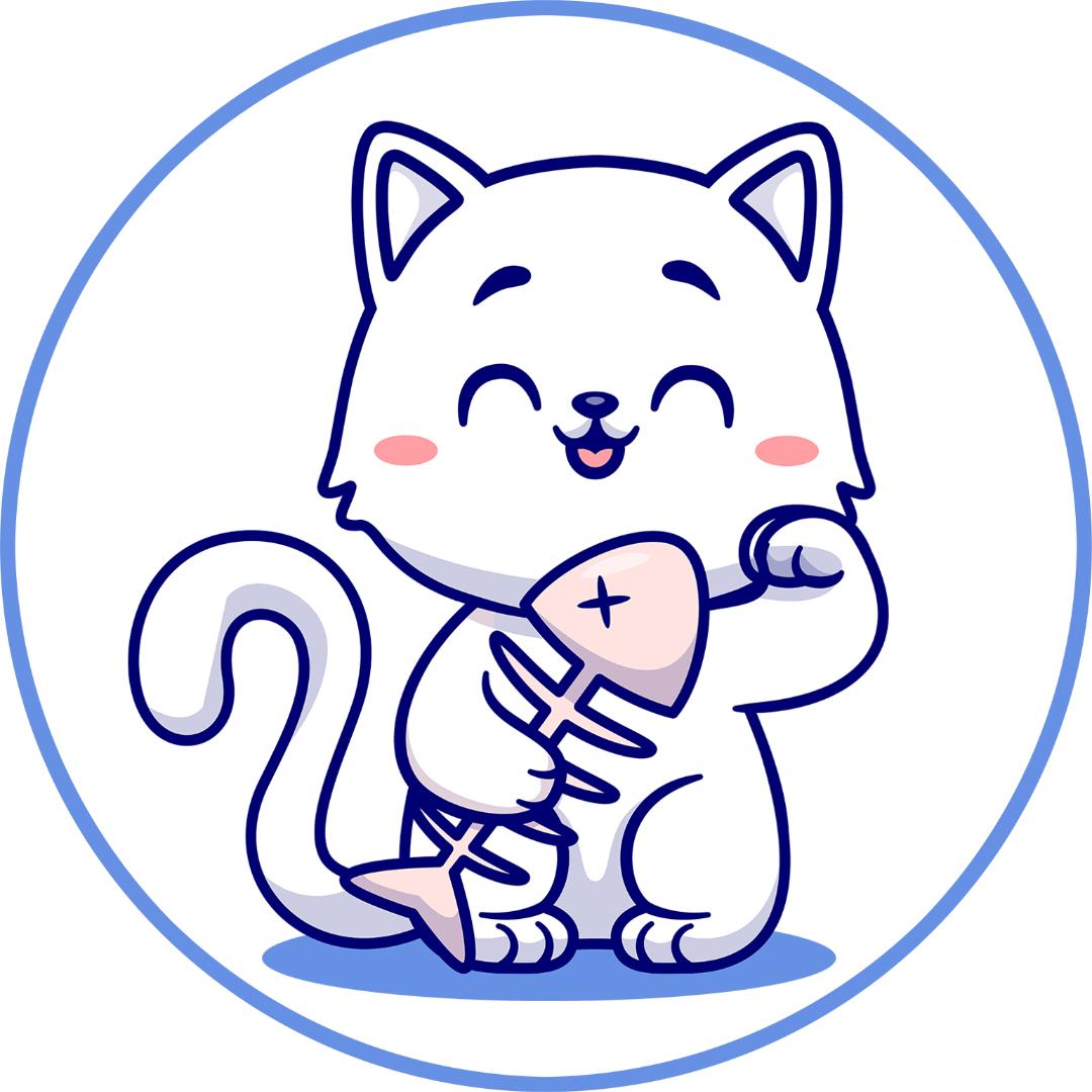 小白捉娱