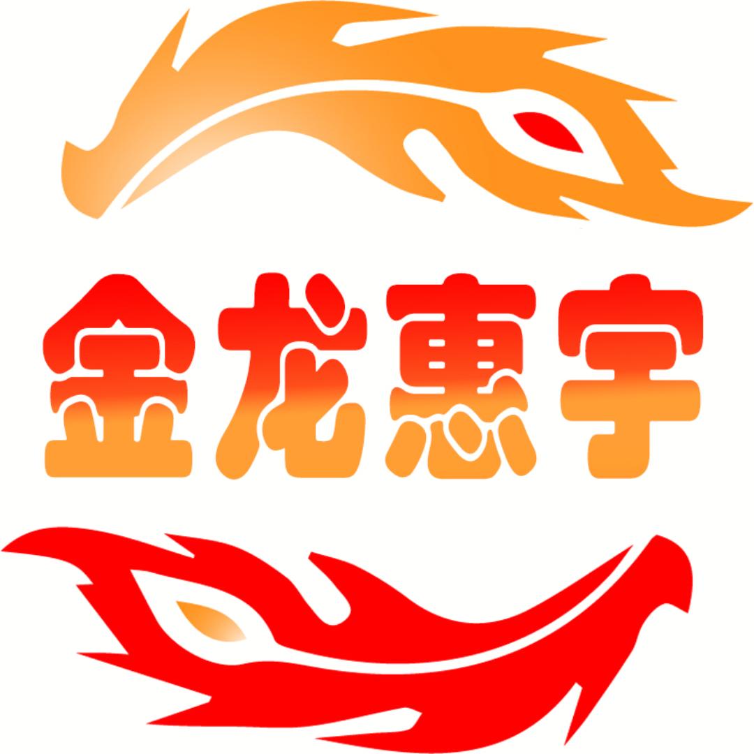 金龙惠宇内存条