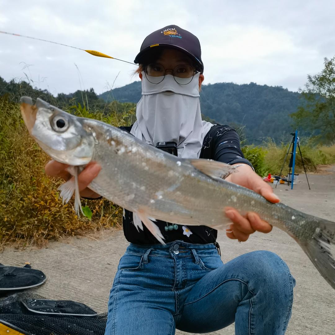 虾米🎣钓鱼