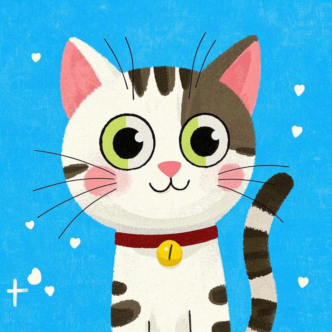 泡泡来自喵星球