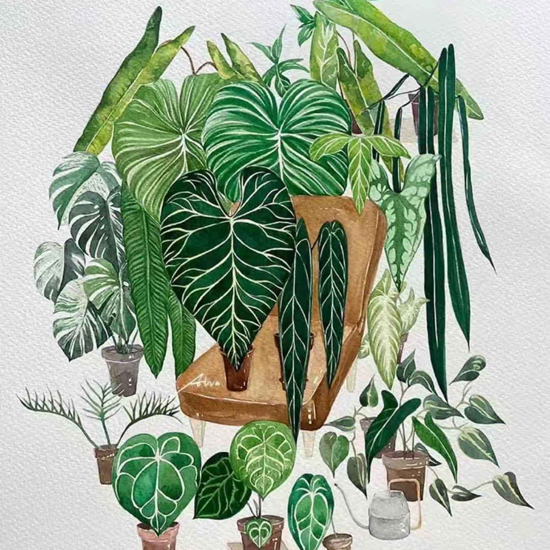 羽禾花卉