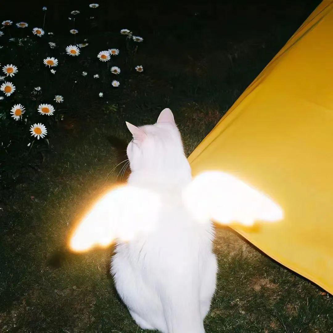 裕谷