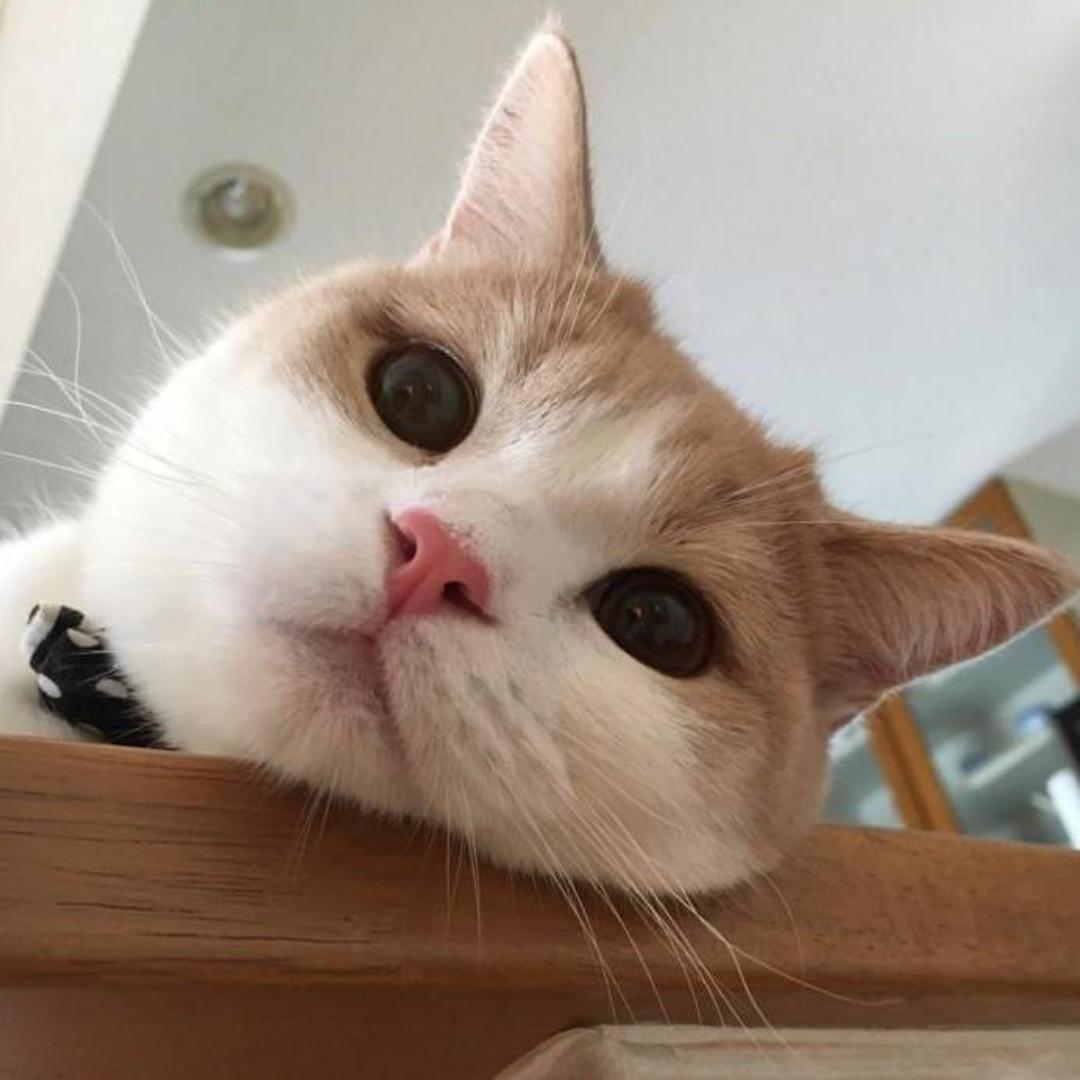 （英雄联盟）—骚孙打野