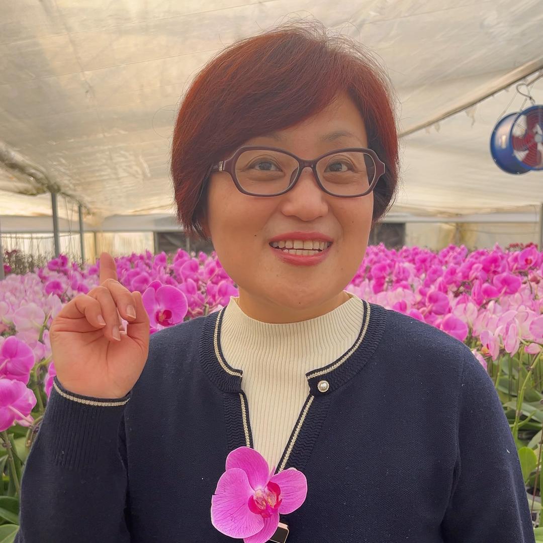 落胃阿姐