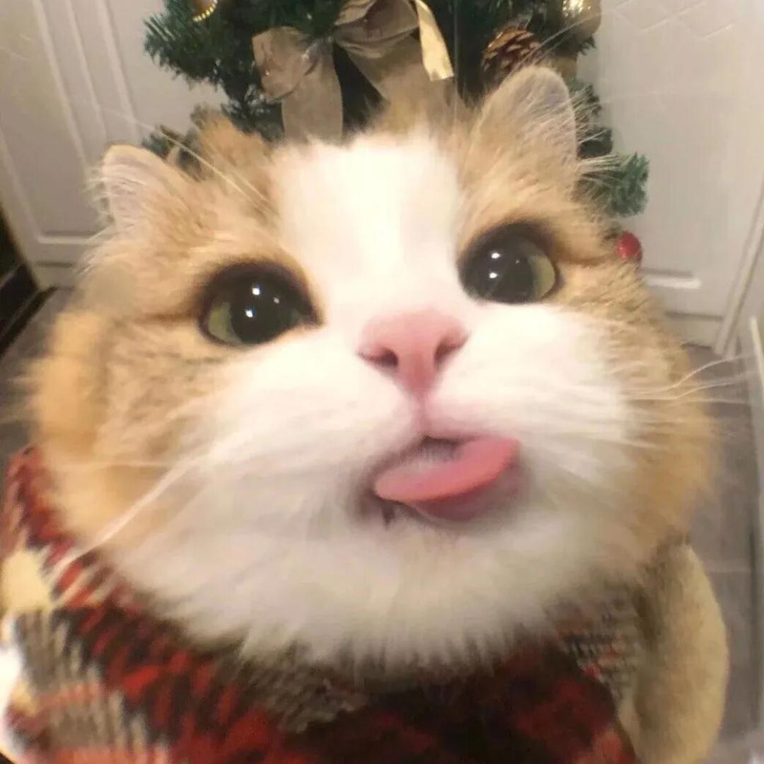 小白鹤（一念逍遥）