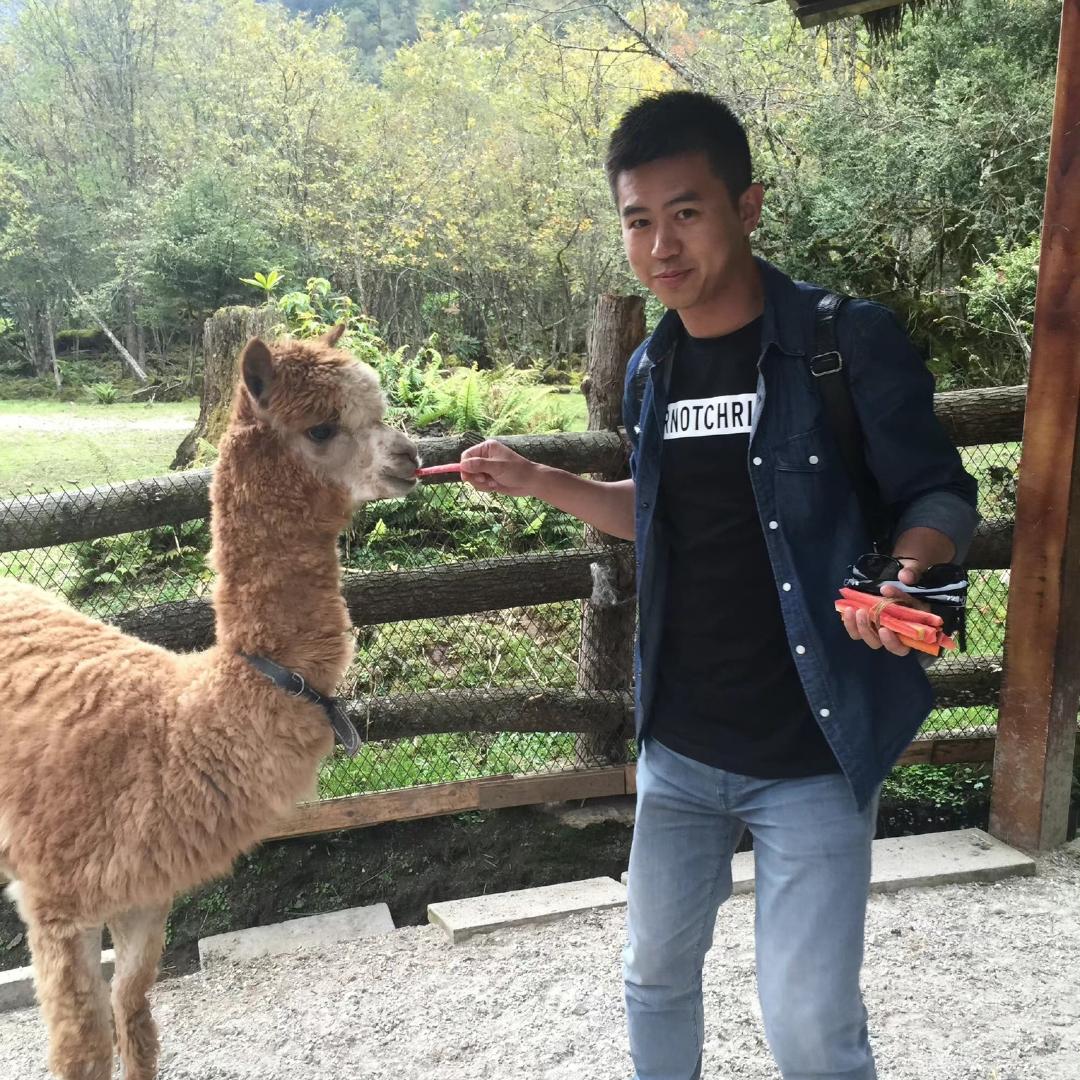 山川守卫者