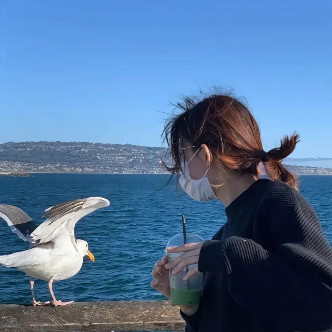 张张的女装集合店