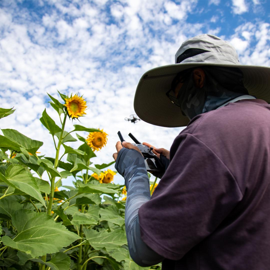 可爱的小熊猫📷