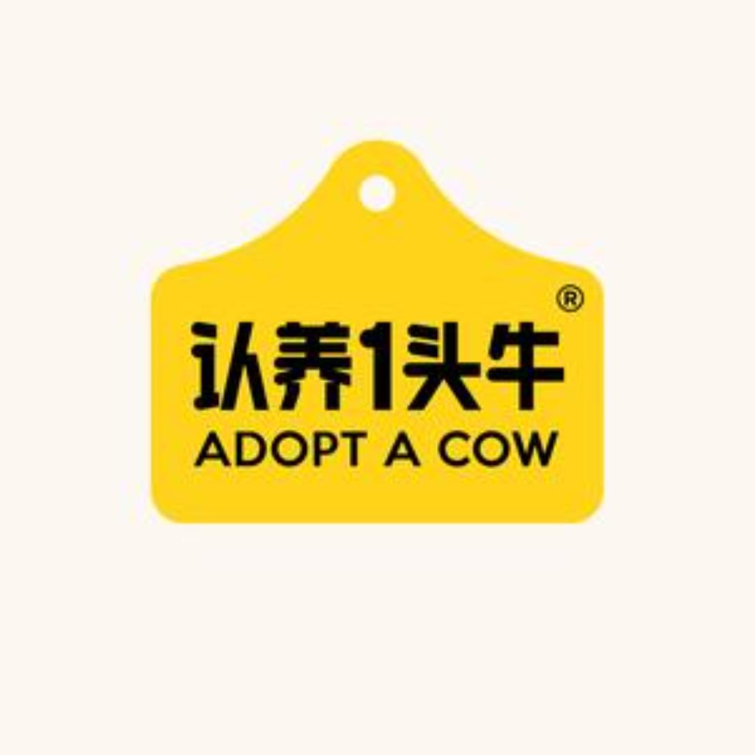 认养一头牛营养奶粉直播间