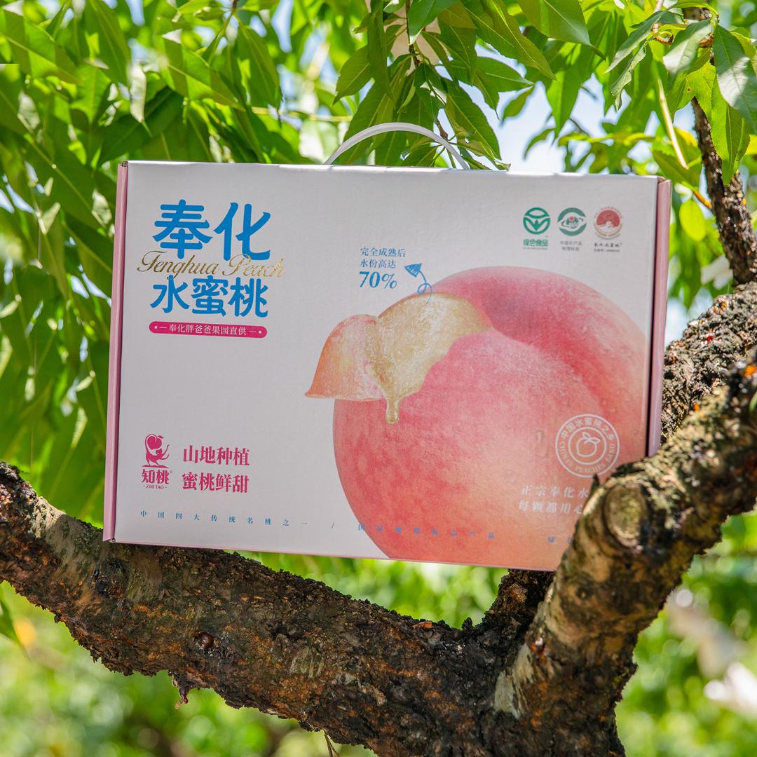 奉化胖爸爸生态果园