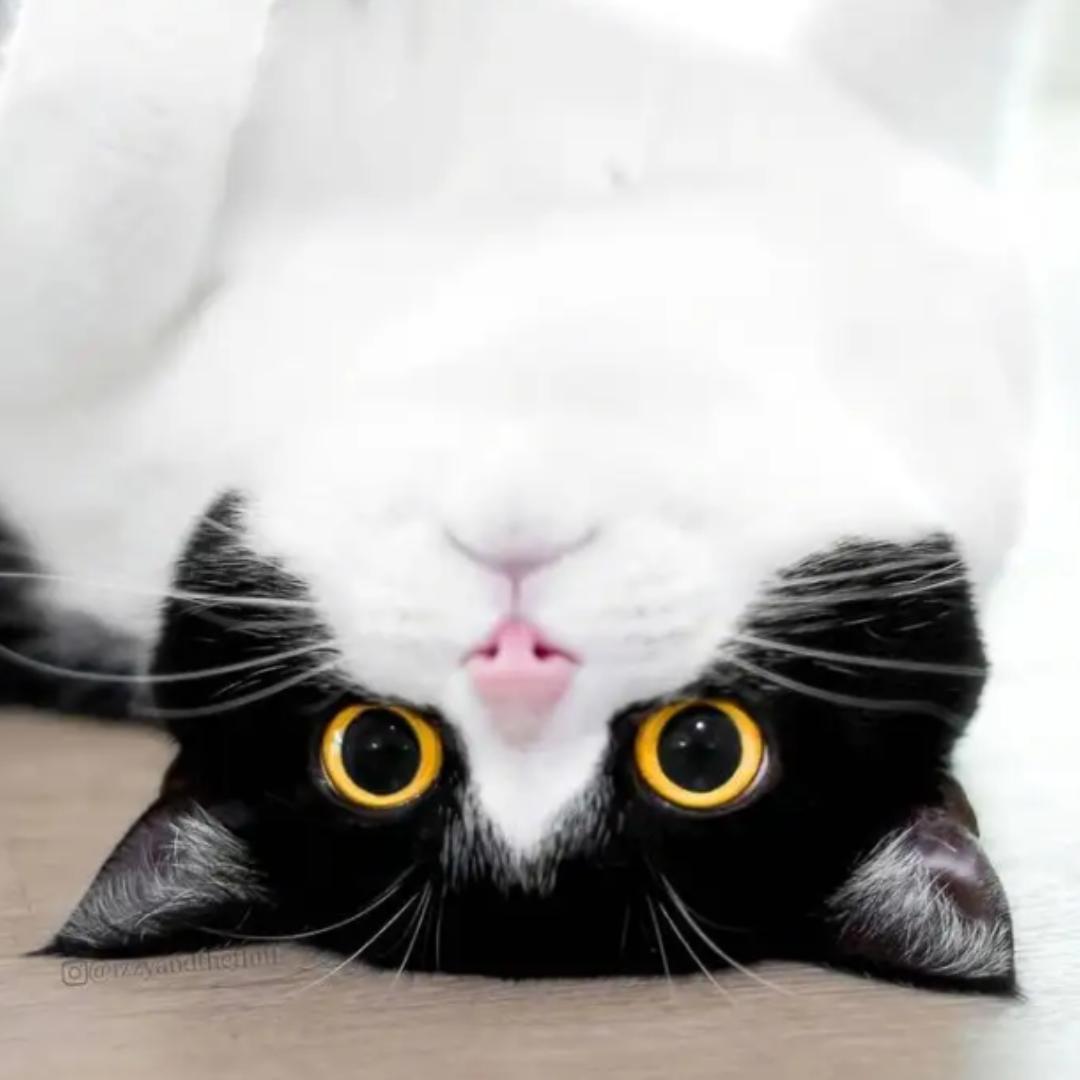 一不再