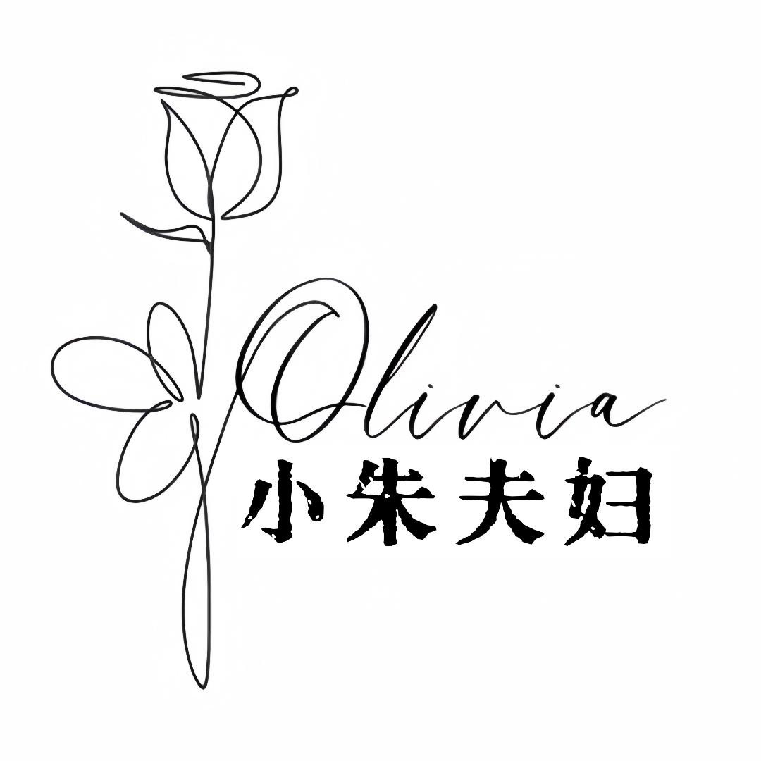 小朱夫妇(严选女鞋)