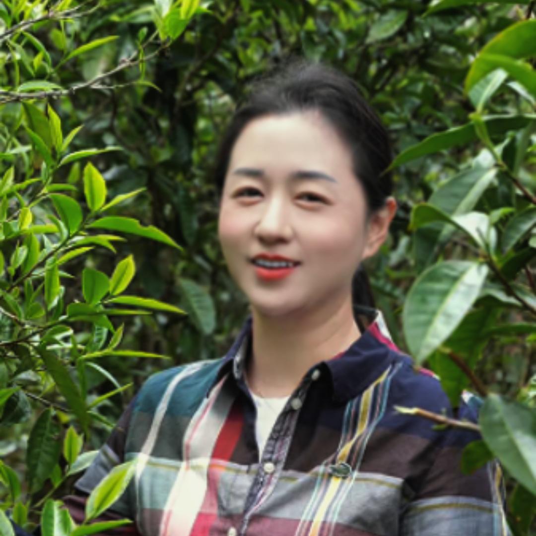 阿佳在茶山