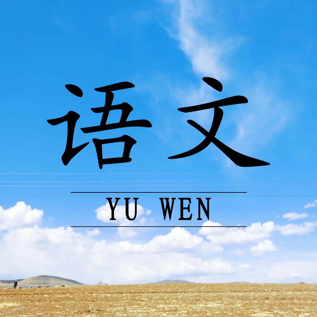 文璐
