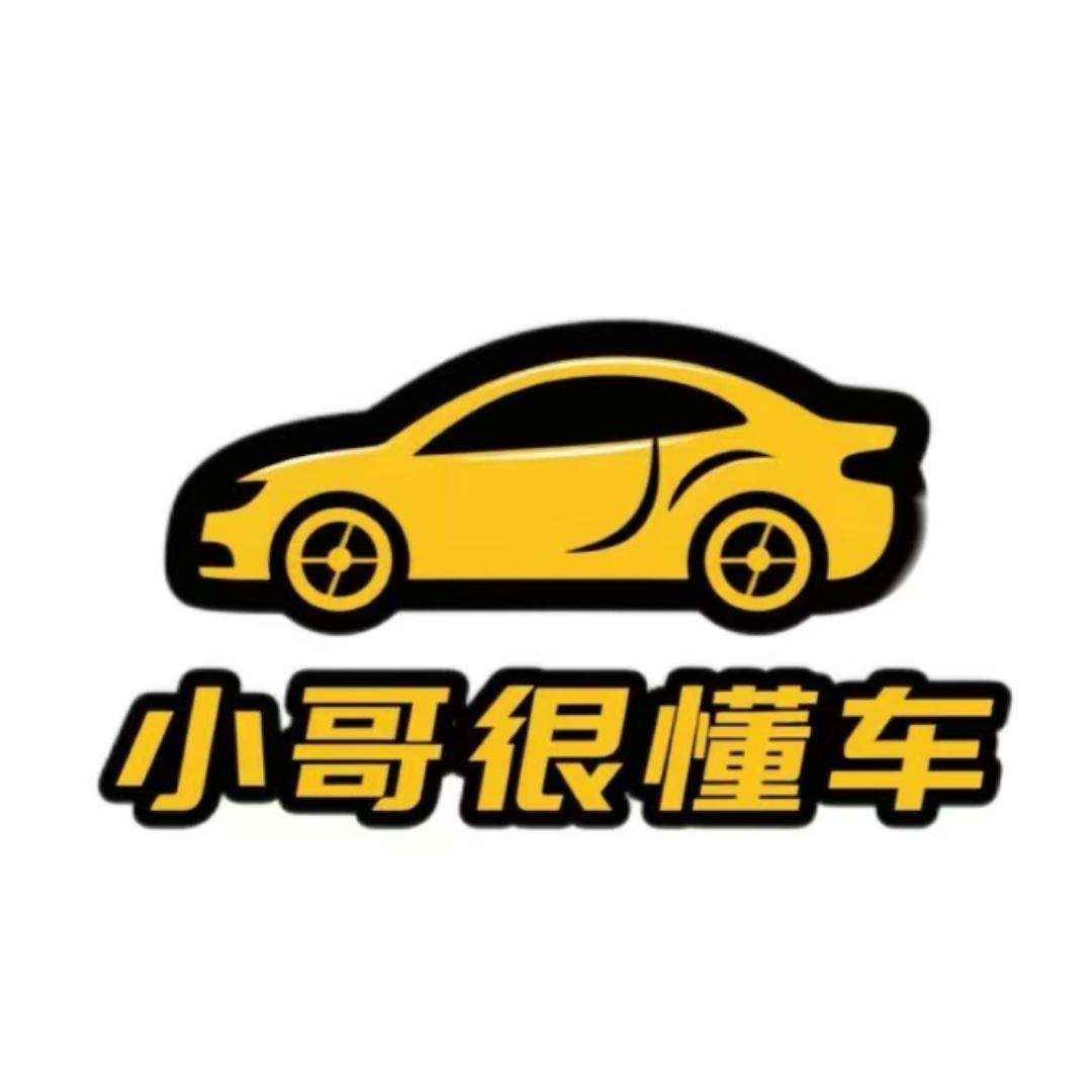 小哥很懂车