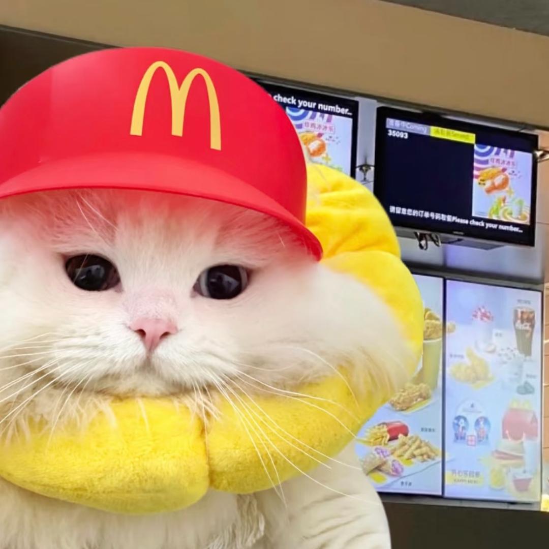 蛋散bibi
