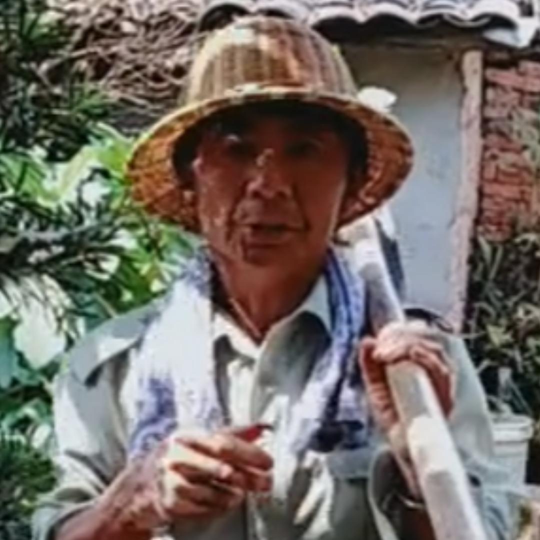 四黑哥（一个真的农民）