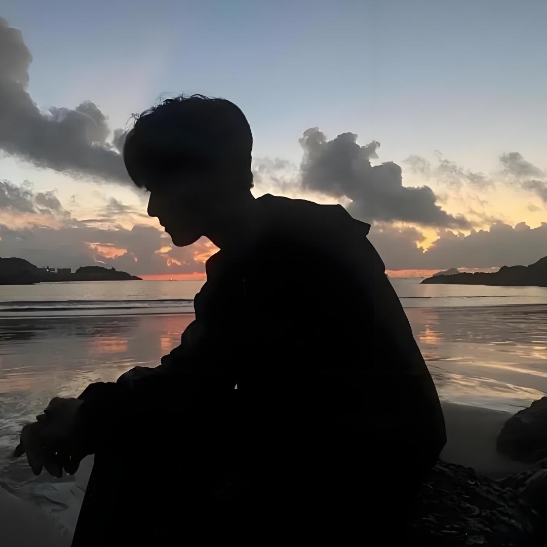 北巷的海鸥