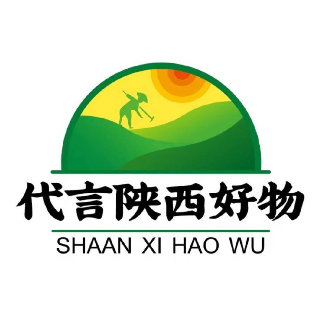 代言陕西好物企业店