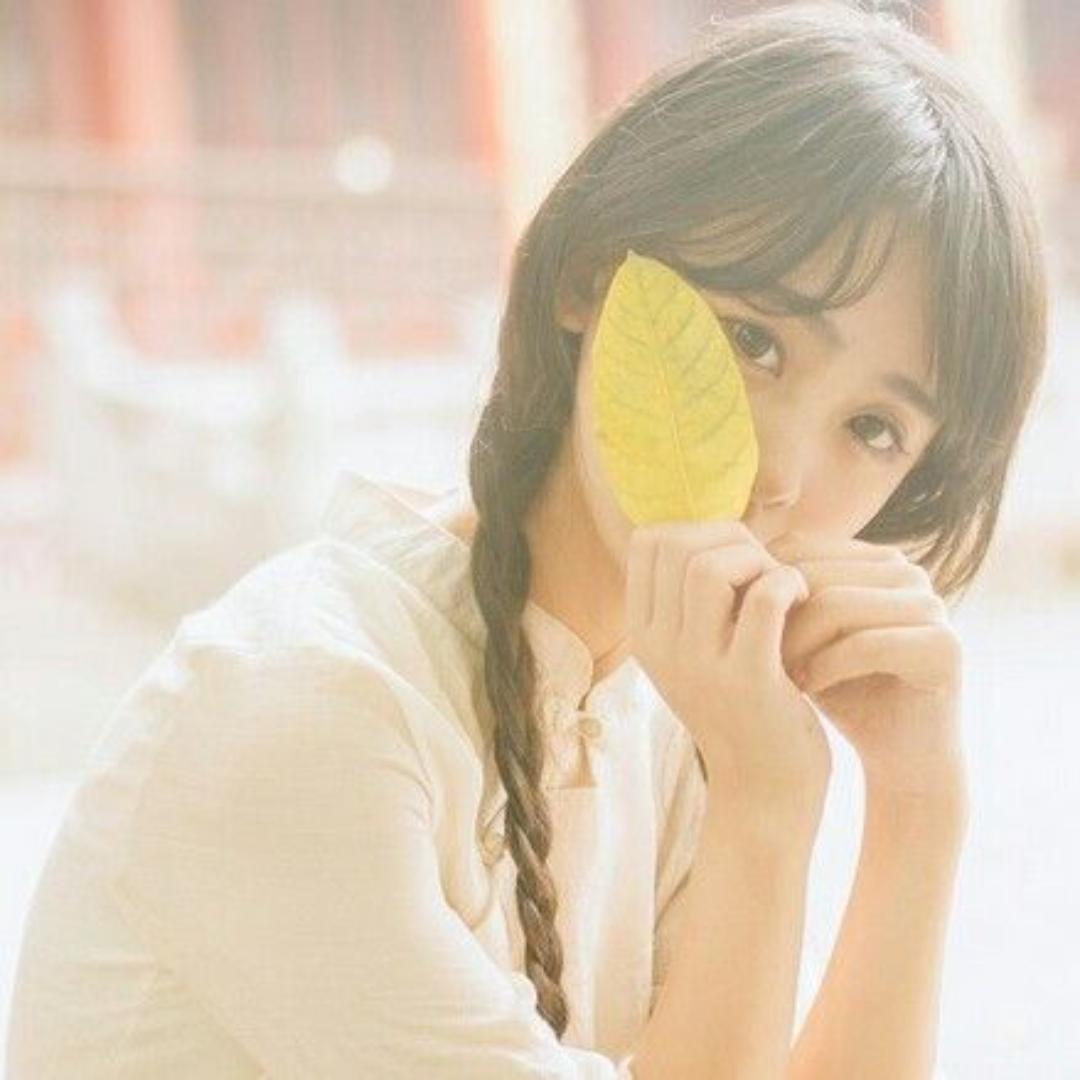 陈阿七宝藏好物推荐