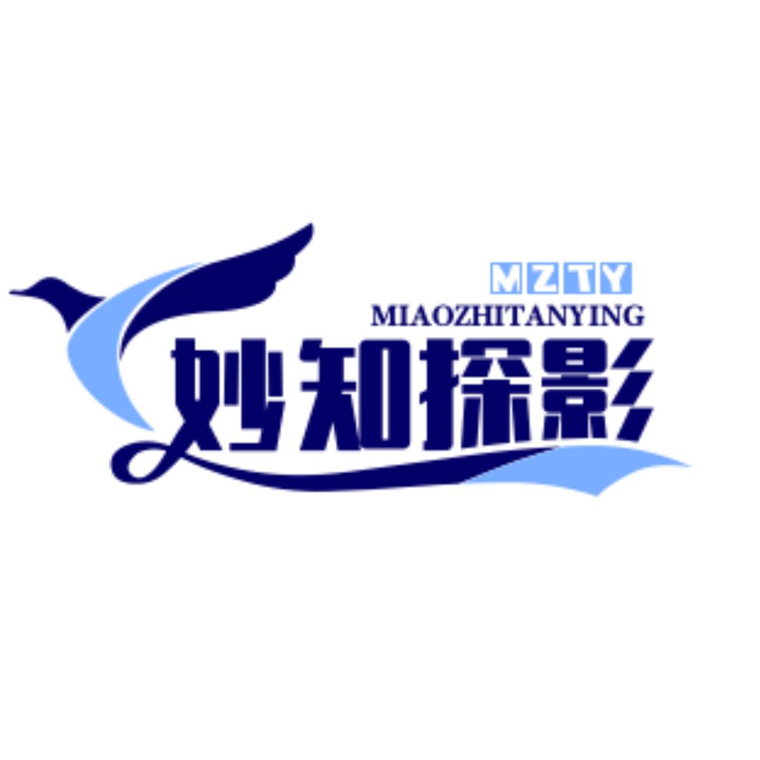 妙知探影