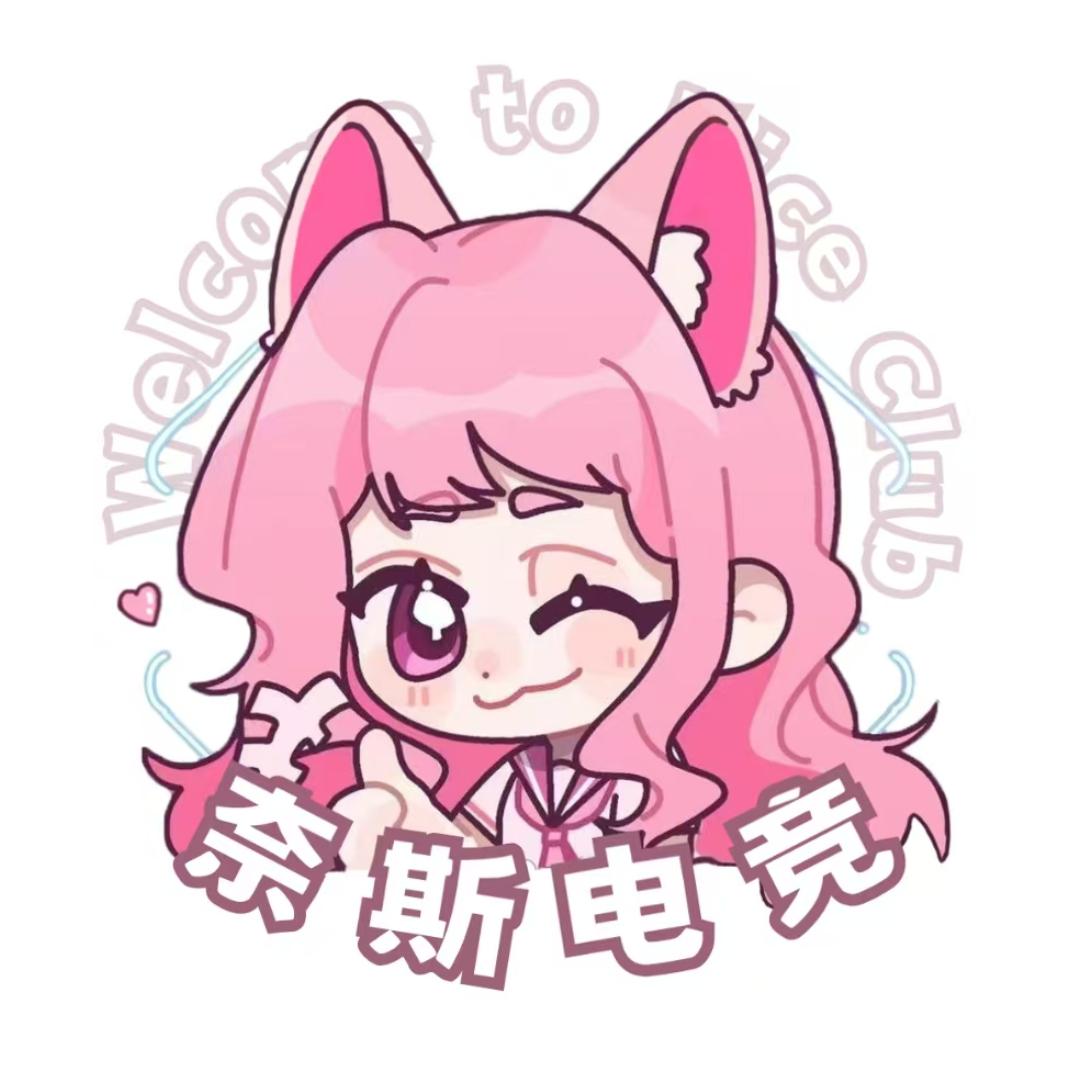 奈斯电竞