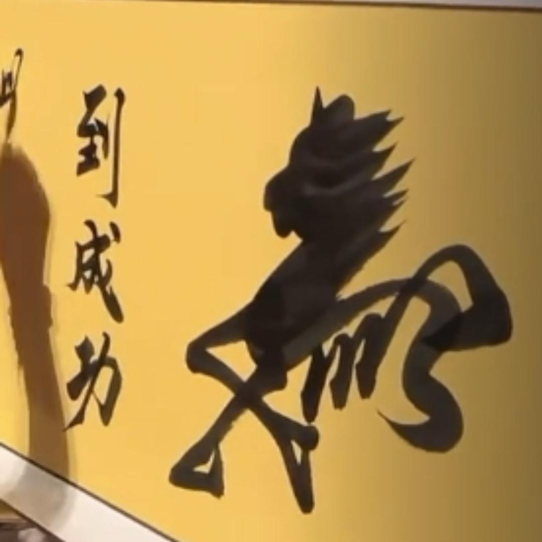 交换美好(晴书直播素材剪辑)