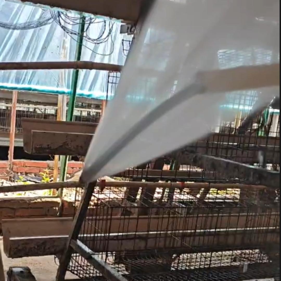 养殖水线专用清洗器