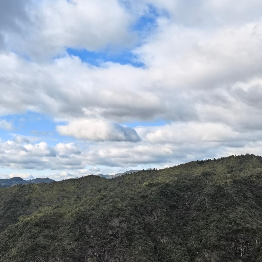 专属