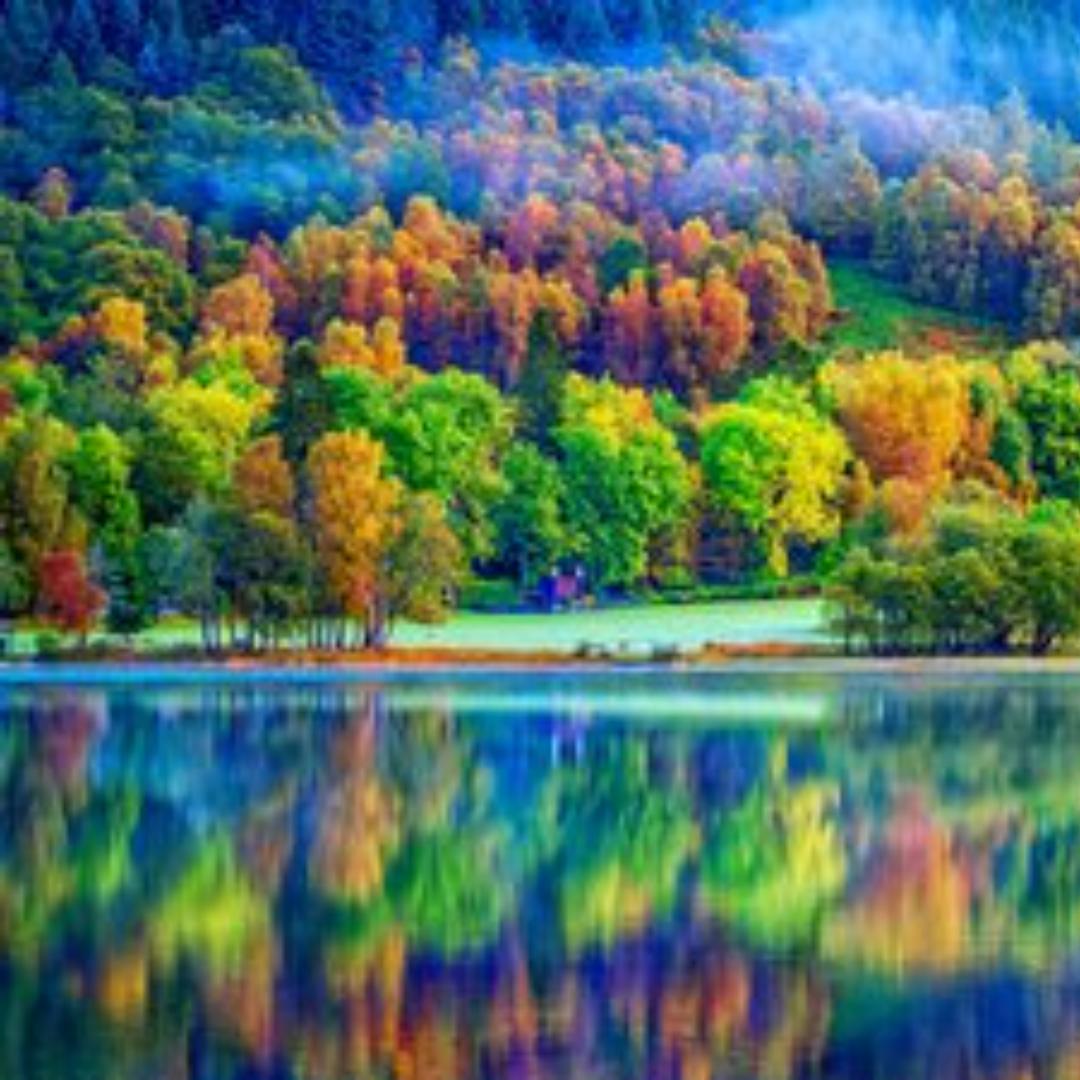 KK甄选好物@橱窗