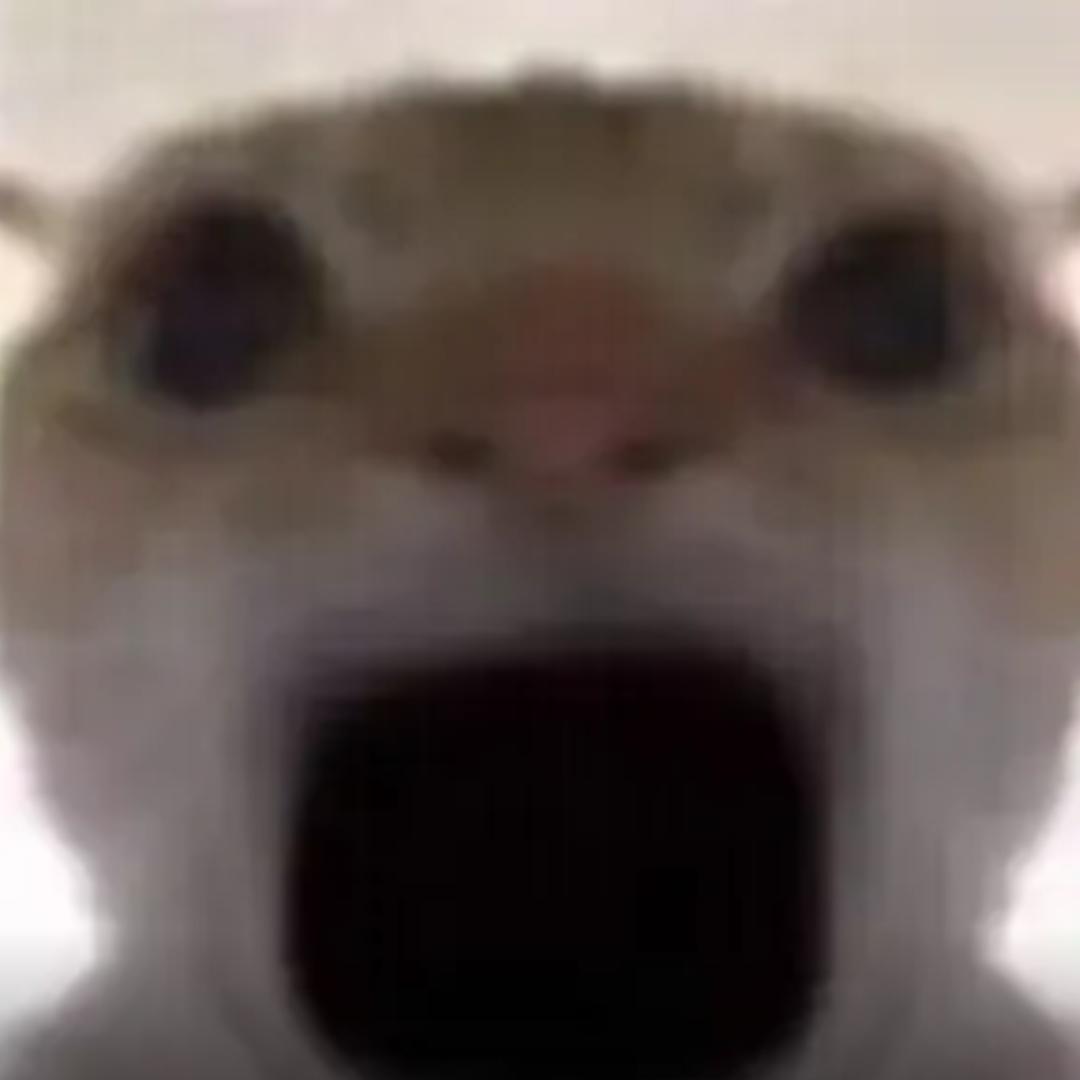 小鼹鼠（三角洲行动 ）