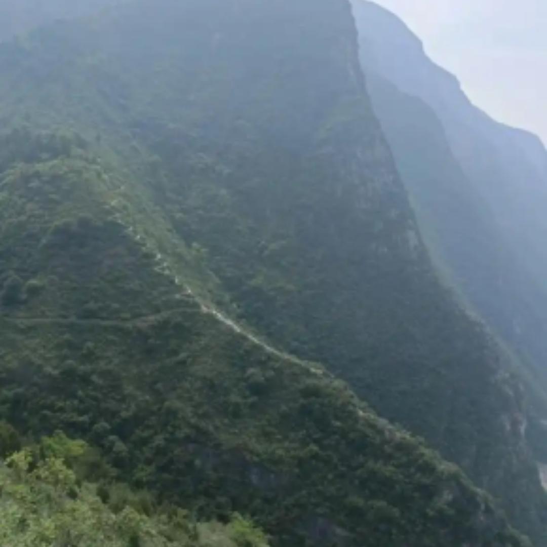 赖小波