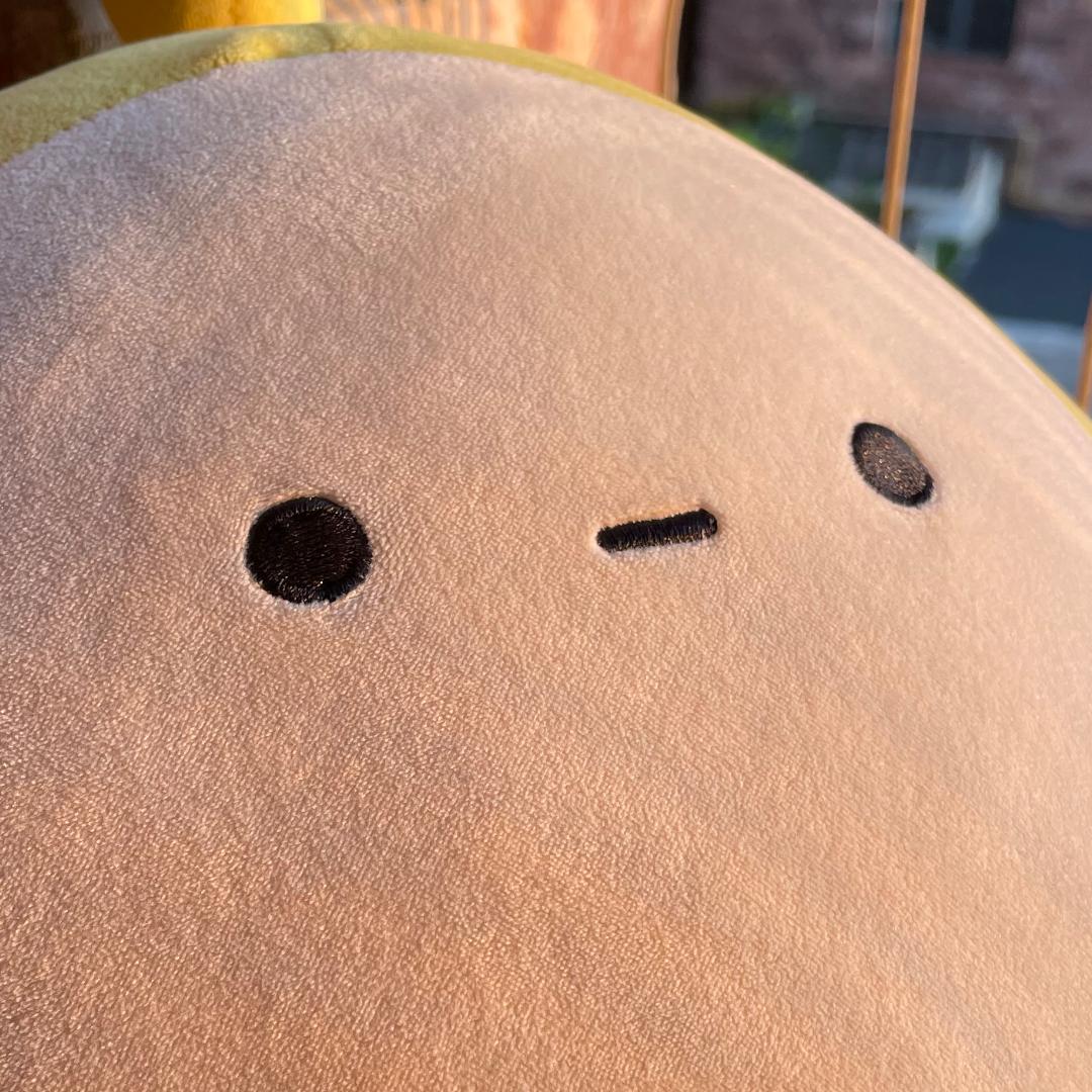 吴吱吱
