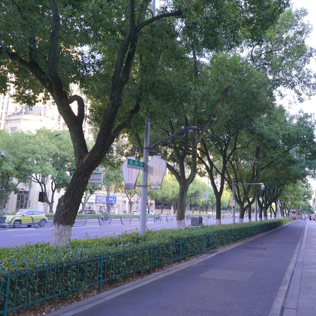 熊伊租电动车行