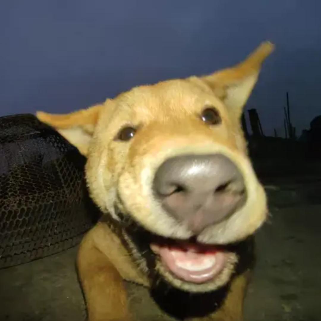 @暴躁的超超🍟🎧