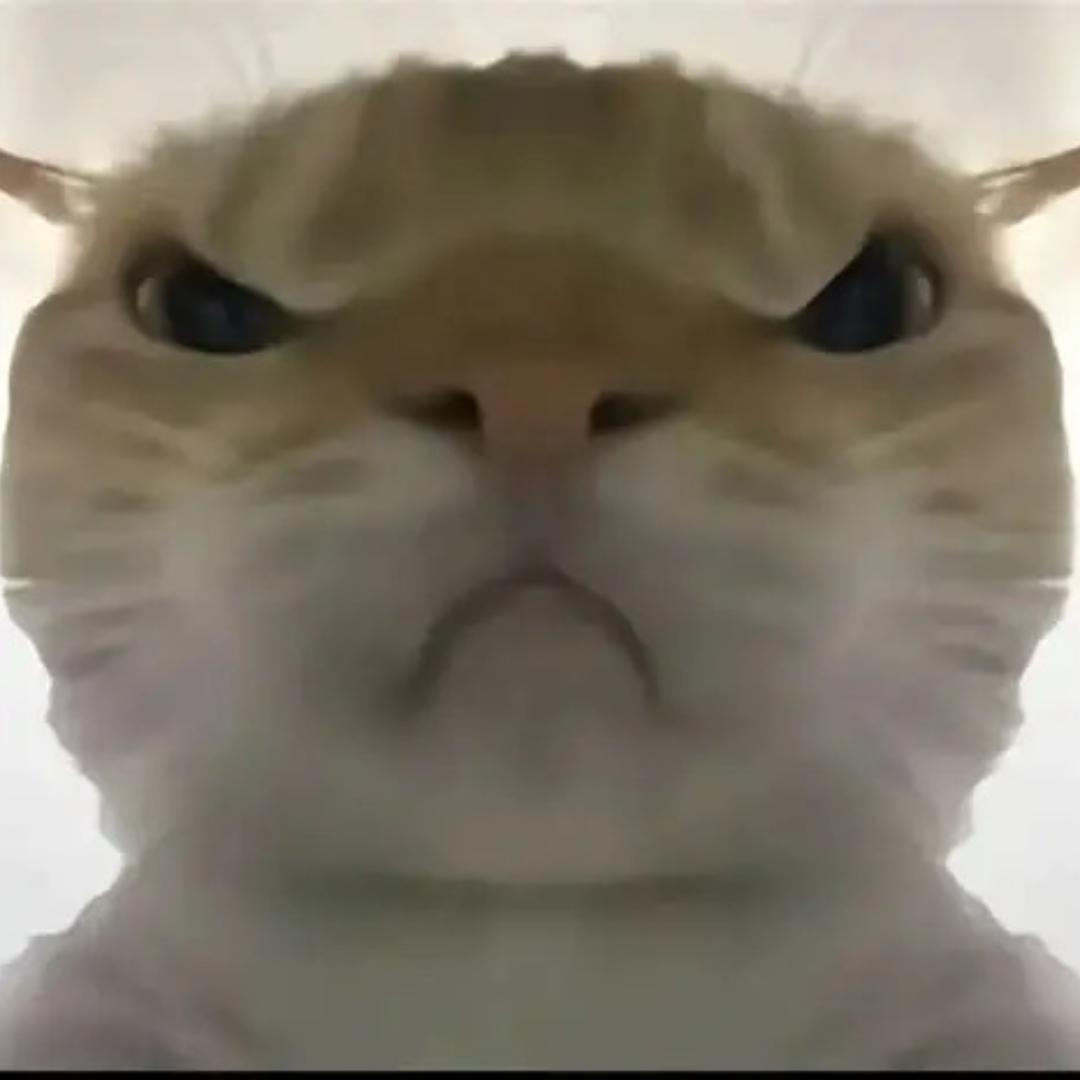 跑刀鼠鼠
