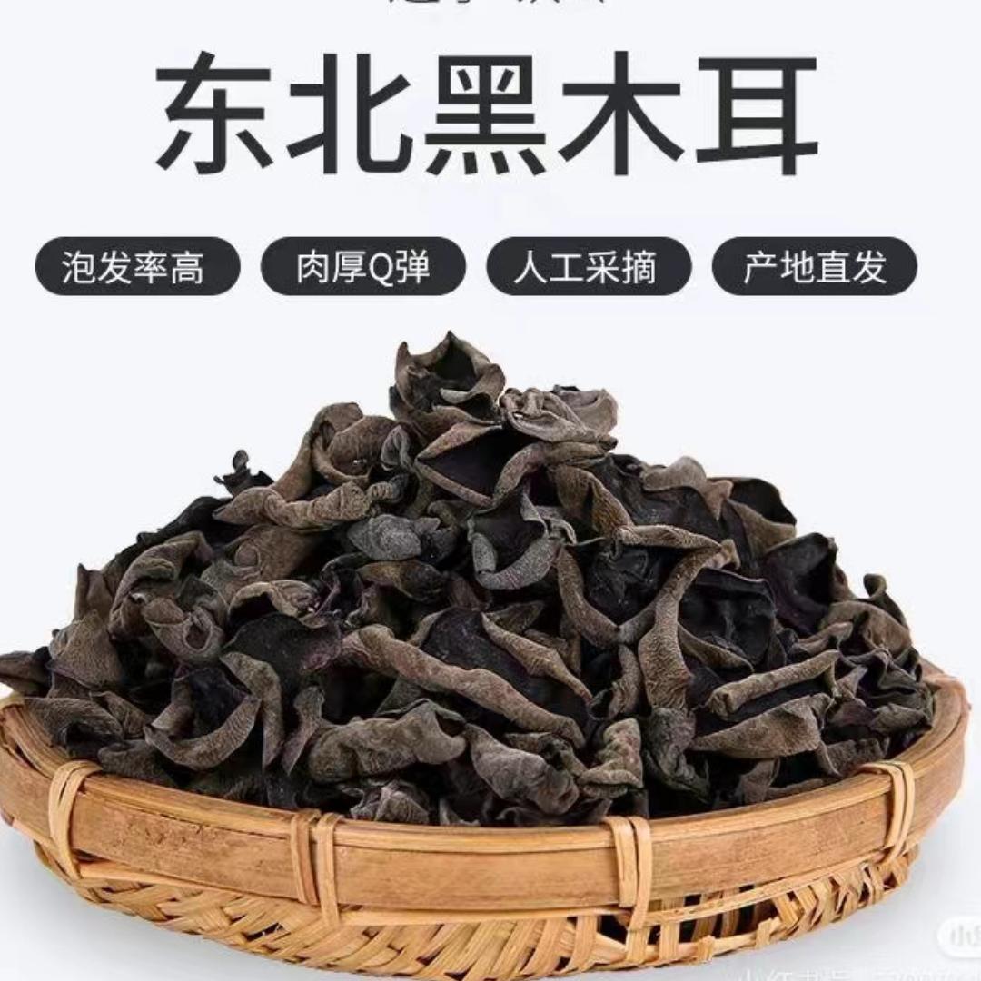 奎泽