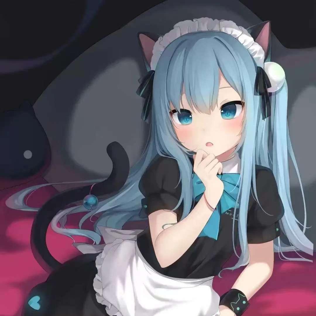 在下黑猫BlackCat